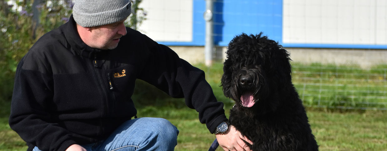 Hunde Giftköder Nienburg