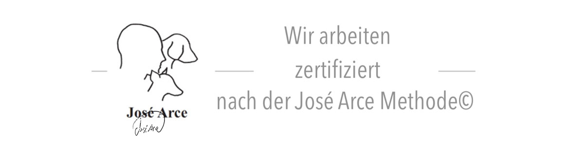 Strukturierten Spaziergang nach der José Arce Methode